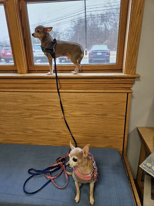 Newbury Animal Hospital 2