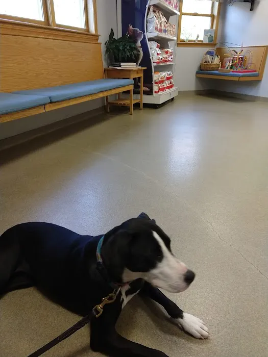 Newbury Animal Hospital 6