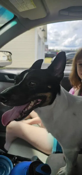 Salmon Falls Animal Hospital 2