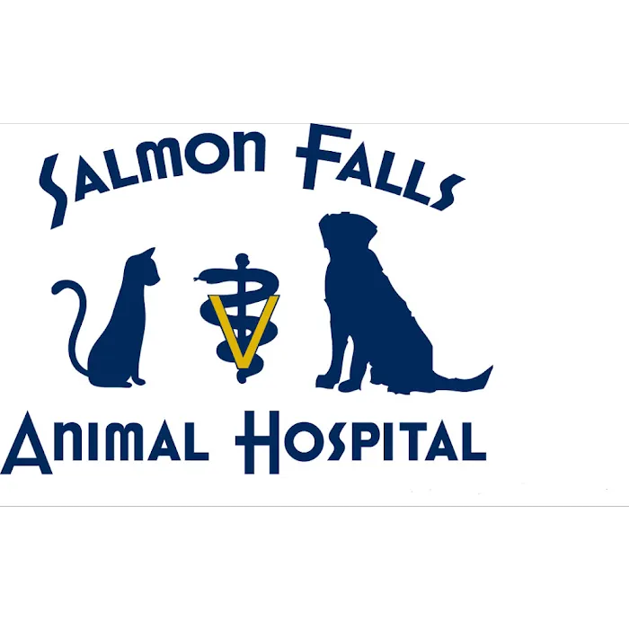 Salmon Falls Animal Hospital 4