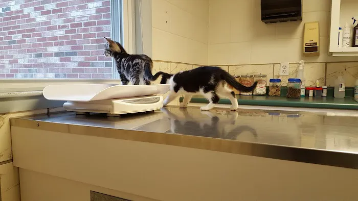 Salmon Falls Animal Hospital 3