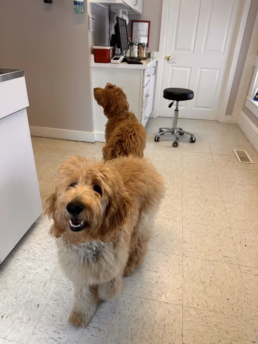 Eliot Veterinary Hospital 6