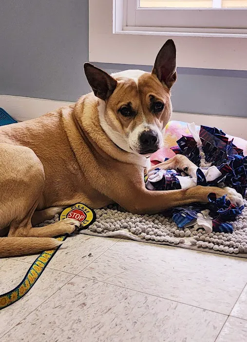 Eliot Veterinary Hospital 4