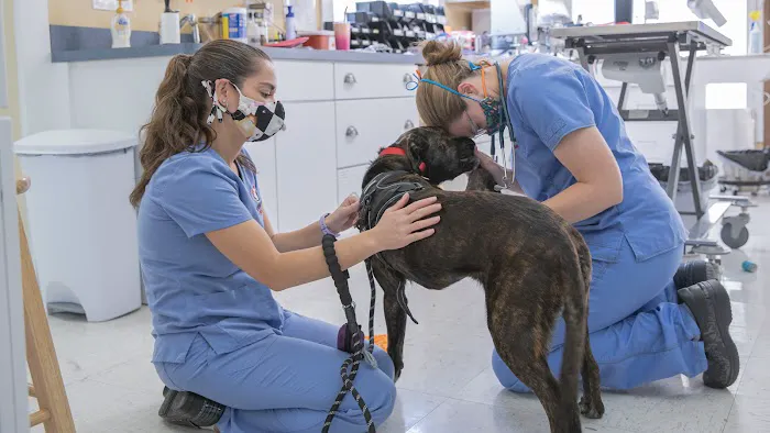 Eliot Veterinary Hospital 9