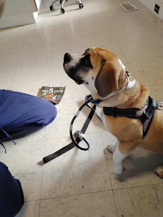 Eliot Veterinary Hospital 1