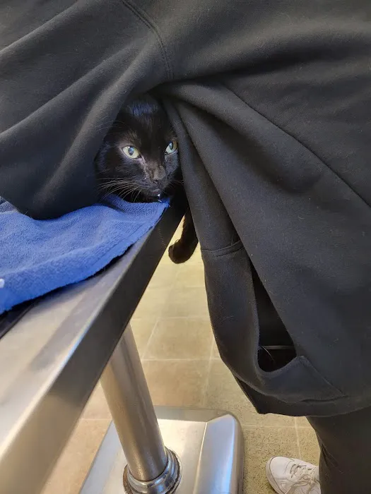 VCA Animal Medical Center 4