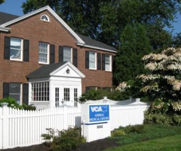VCA Animal Medical Center