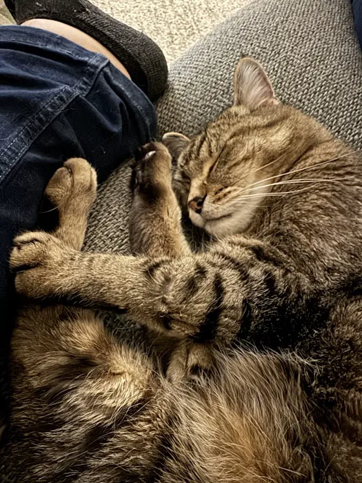 VCA Animal Medical Center 5