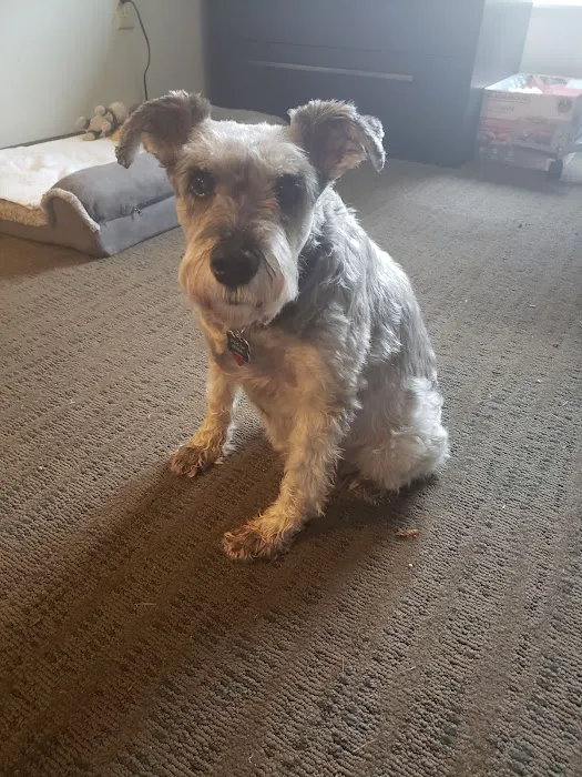 VCA Animal Medical Center 3