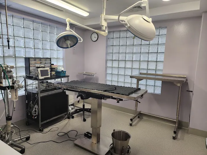 VCA Animal Medical Center 9