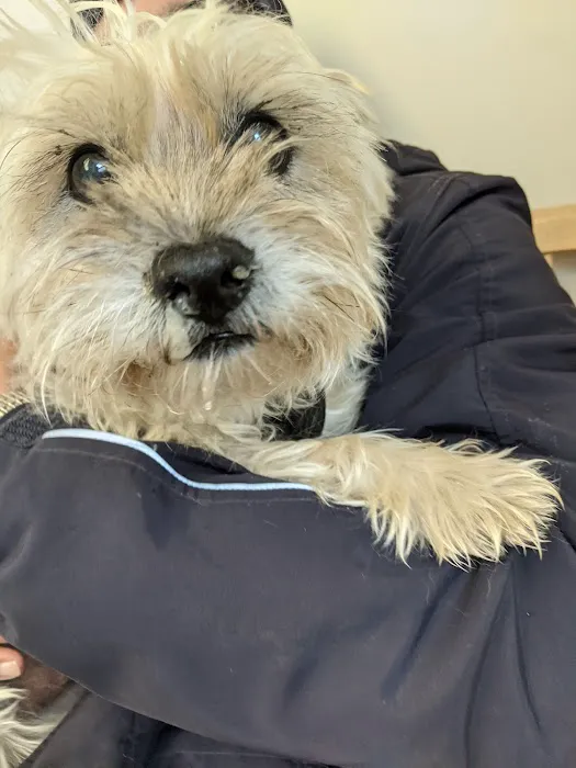 VCA Animal Medical Center 8