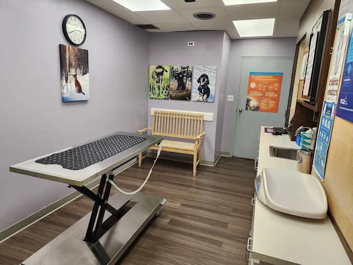 VCA Animal Medical Center 6