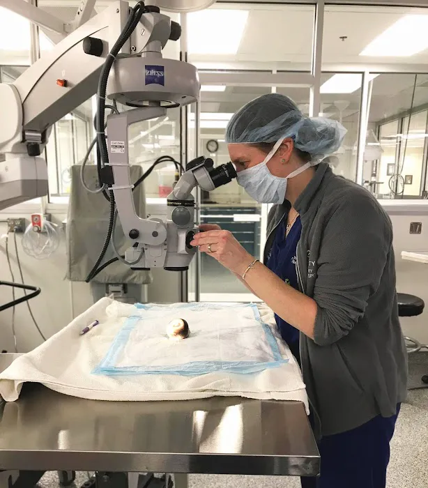 Port City Veterinary Referral Hospital 7