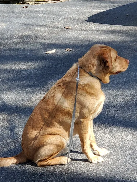 Lucky Pet Animal Hospital 9