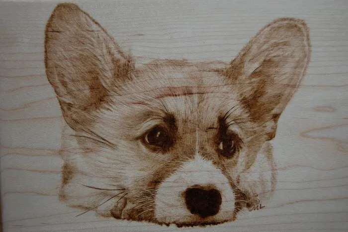 Lucky Pet Animal Hospital 7