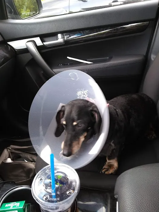Lucky Pet Animal Hospital 5