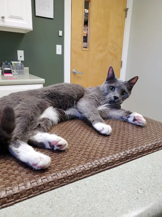 Lucky Pet Animal Hospital 3