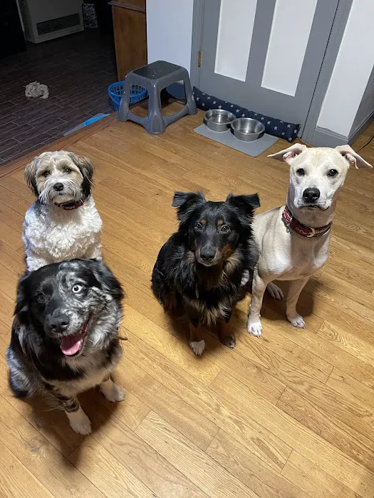 Lucky Pet Animal Hospital 2