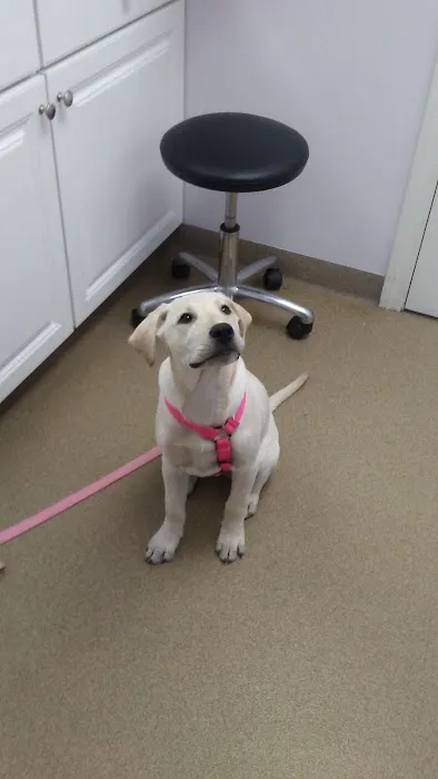 Hollis Animal Clinic - Thomas B Wesley DVM 7