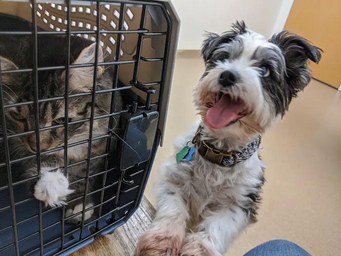 VCA Standish Animal Hospital 5