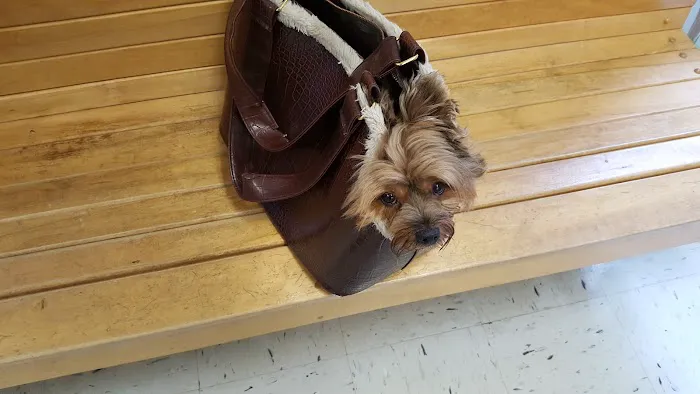 Southern Maine Veterinary Care 3