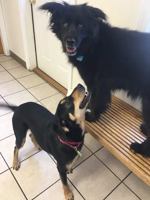 Edgewood Animal Hospital 7