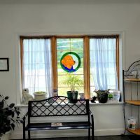 York County Veterinary Hospital ico