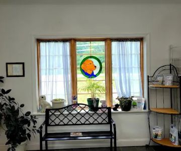 York County Veterinary Hospital