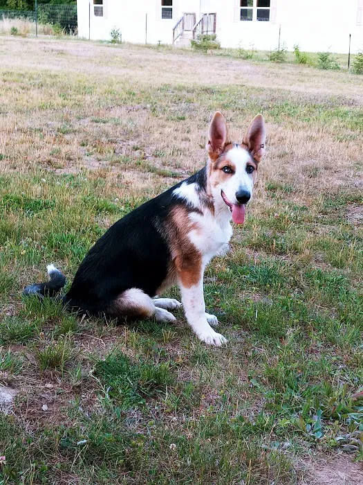 York County Veterinary Hospital 8