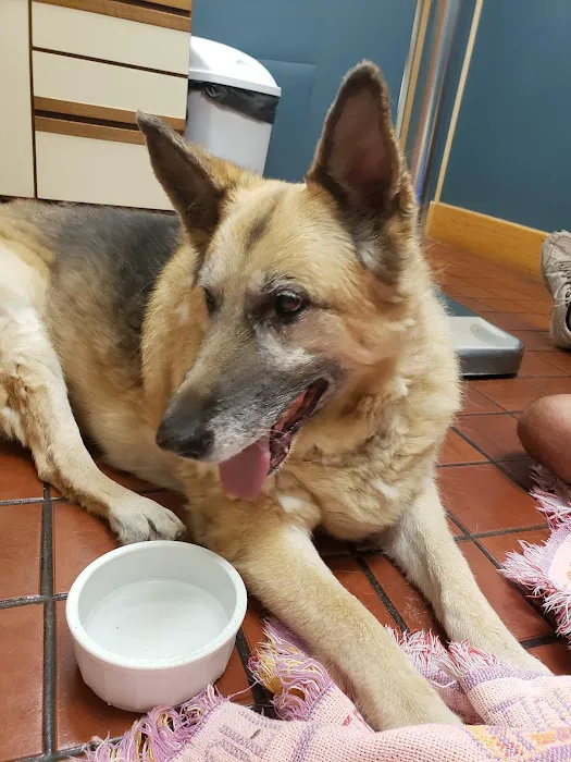 Naples Veterinary Clinic 3