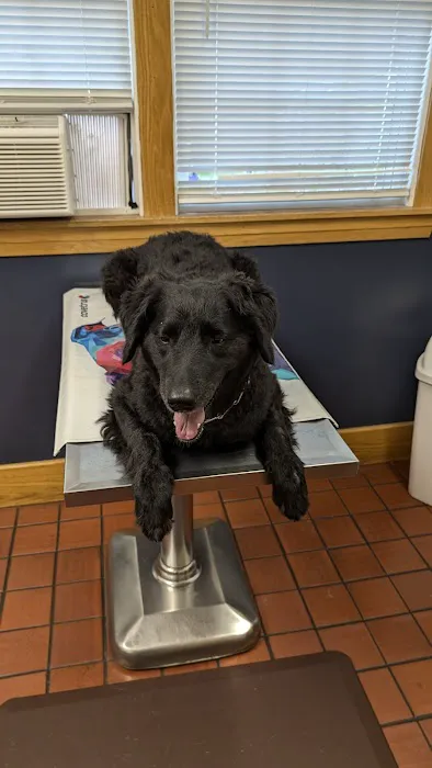 Naples Veterinary Clinic 4
