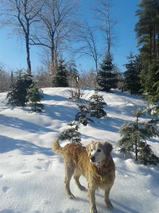 Jordan Bay Animal Hospital 5