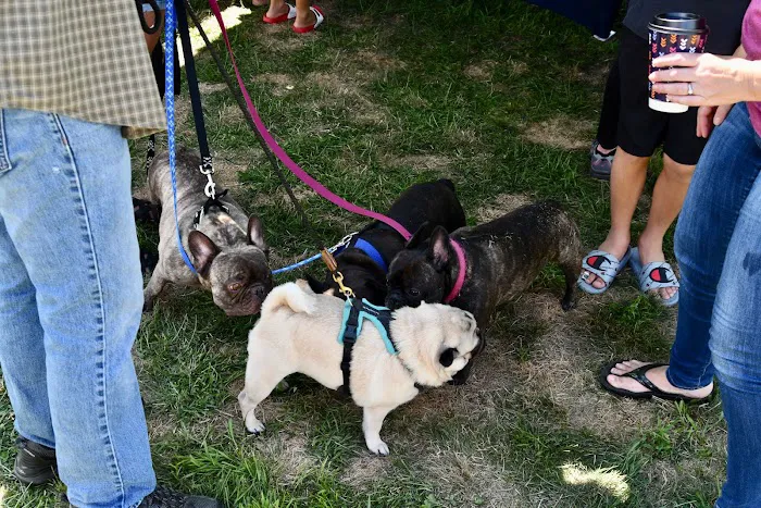 First Choice Animal Care and Surgery Center 9