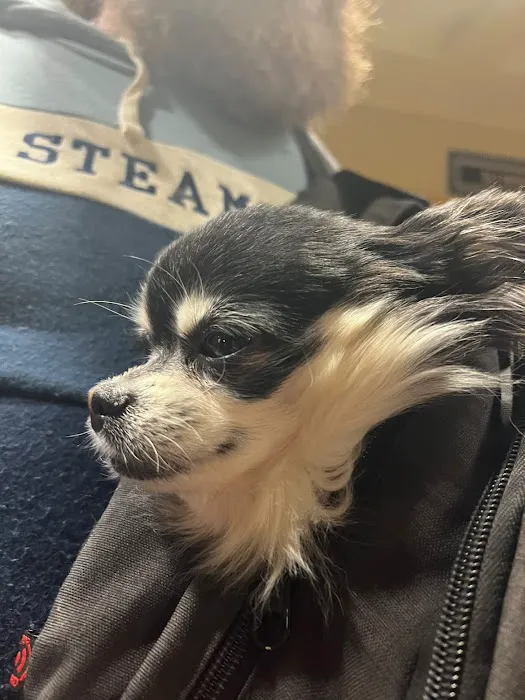 First Choice Animal Care and Surgery Center 2