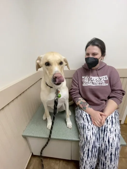 North Windham Veterinary Hospital 7