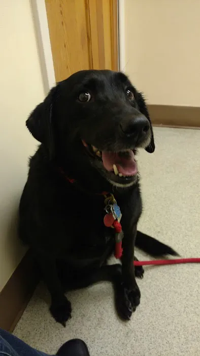 Lake Region Animal Hospital 7