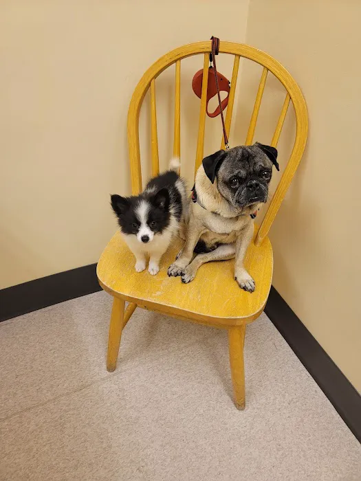 Lake Region Animal Hospital 1