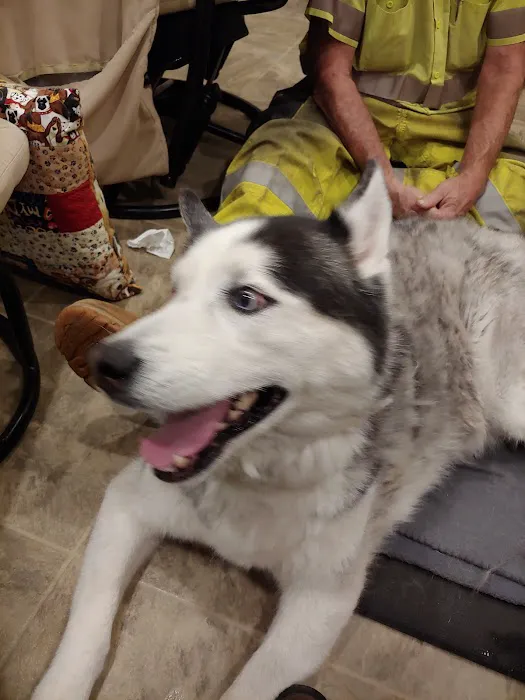 Bridgton Veterinary Hospital and Dental Care Center 2