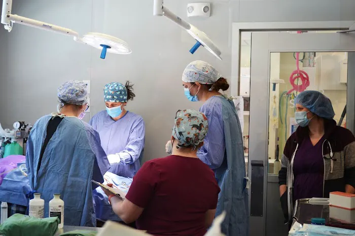 AWS Community Veterinary Clinic 4