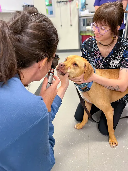 AWS Community Veterinary Clinic 8