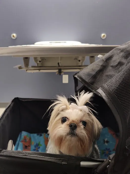 AWS Community Veterinary Clinic 2