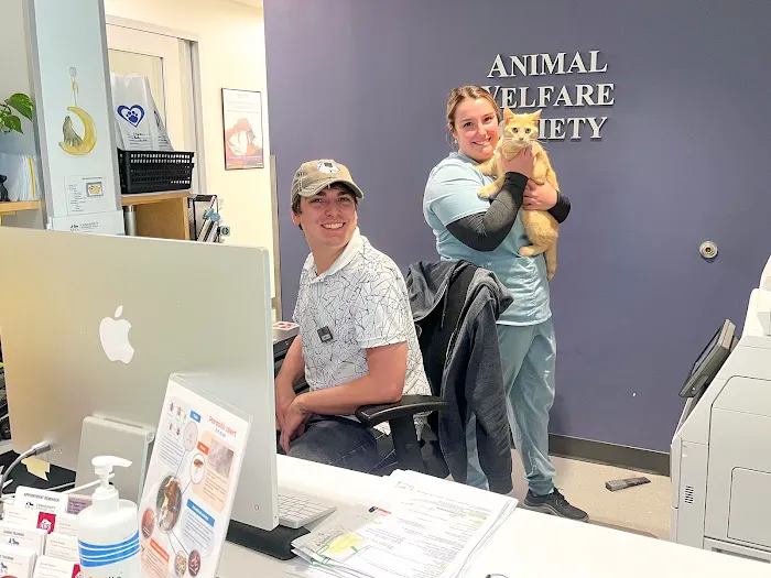 AWS Community Veterinary Clinic 1