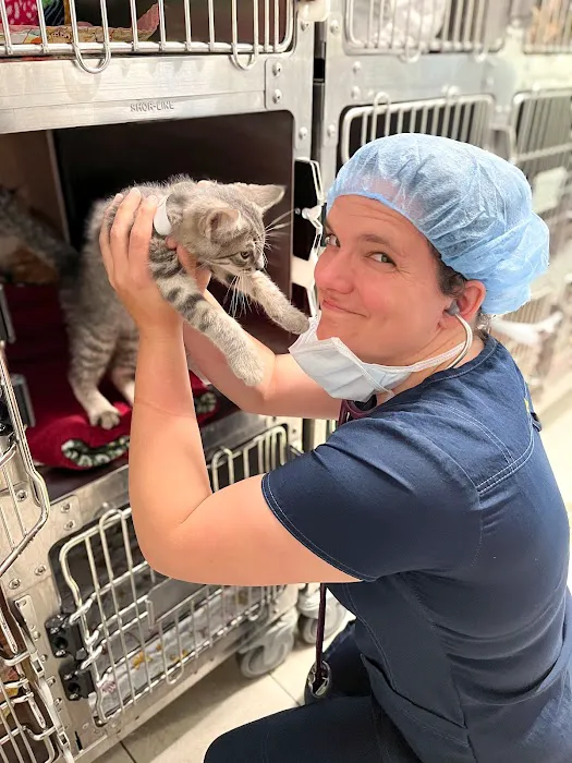 AWS Community Veterinary Clinic 3