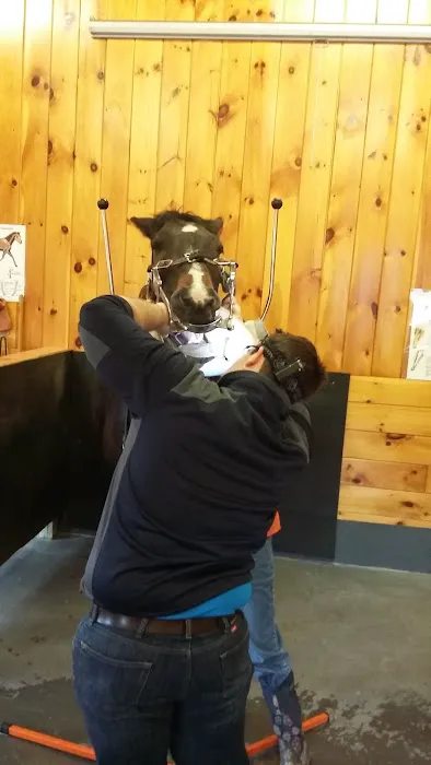 TNT Equine 1