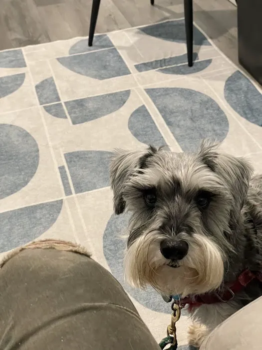 Angelus Urgent Veterinary Care 5