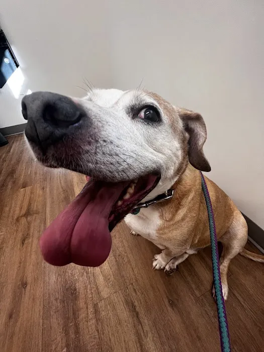 NEK Community Animal Hospital 3