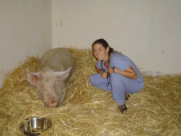 Bobbin Mill Veterinary Services 9