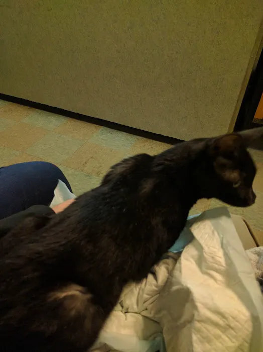 Valley Animal Hospital 3