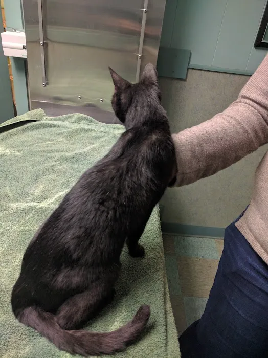 Valley Animal Hospital 2
