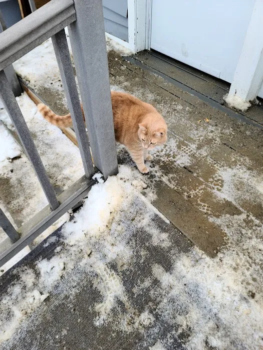 Valley Animal Hospital 9